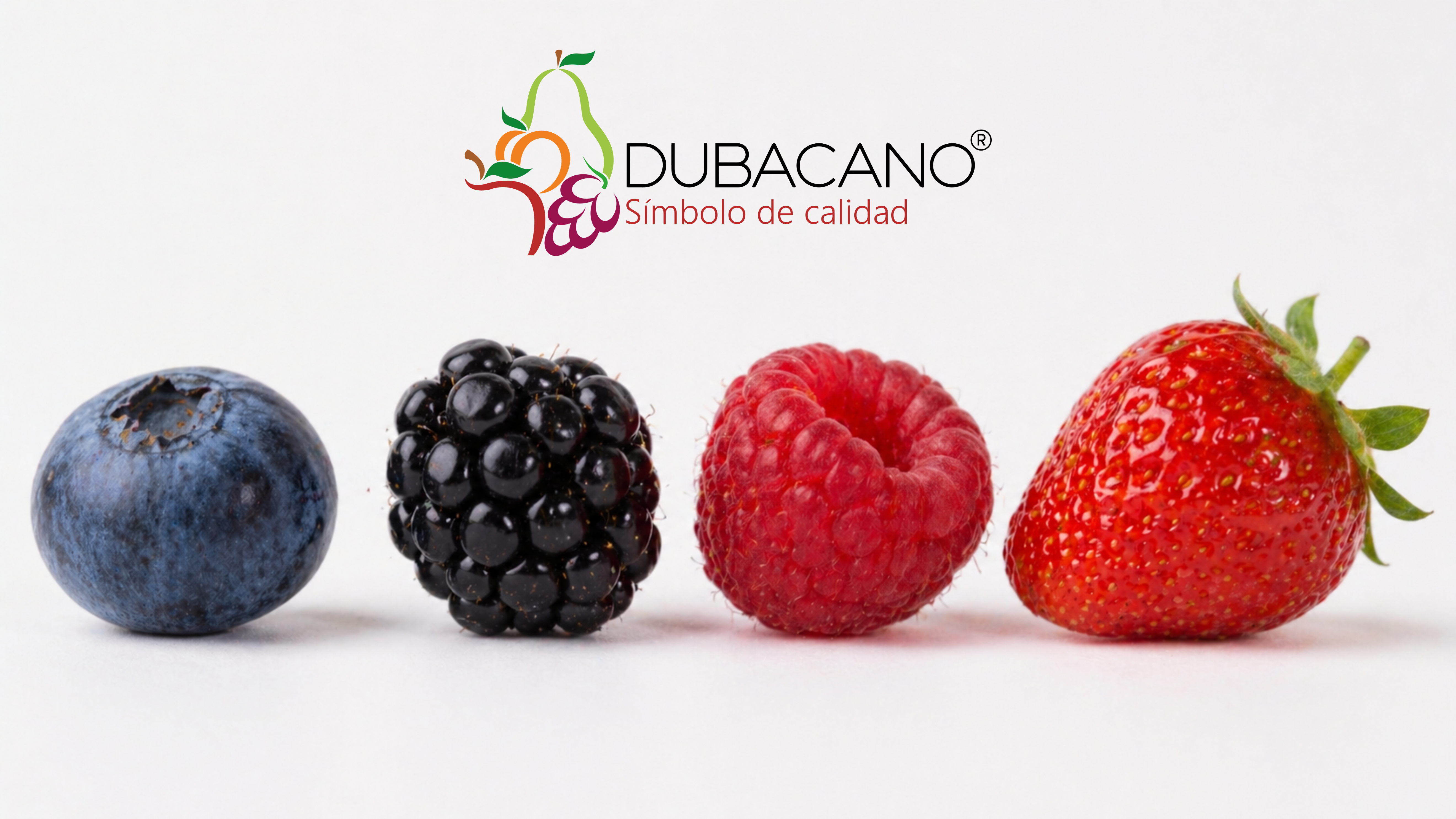 Berries